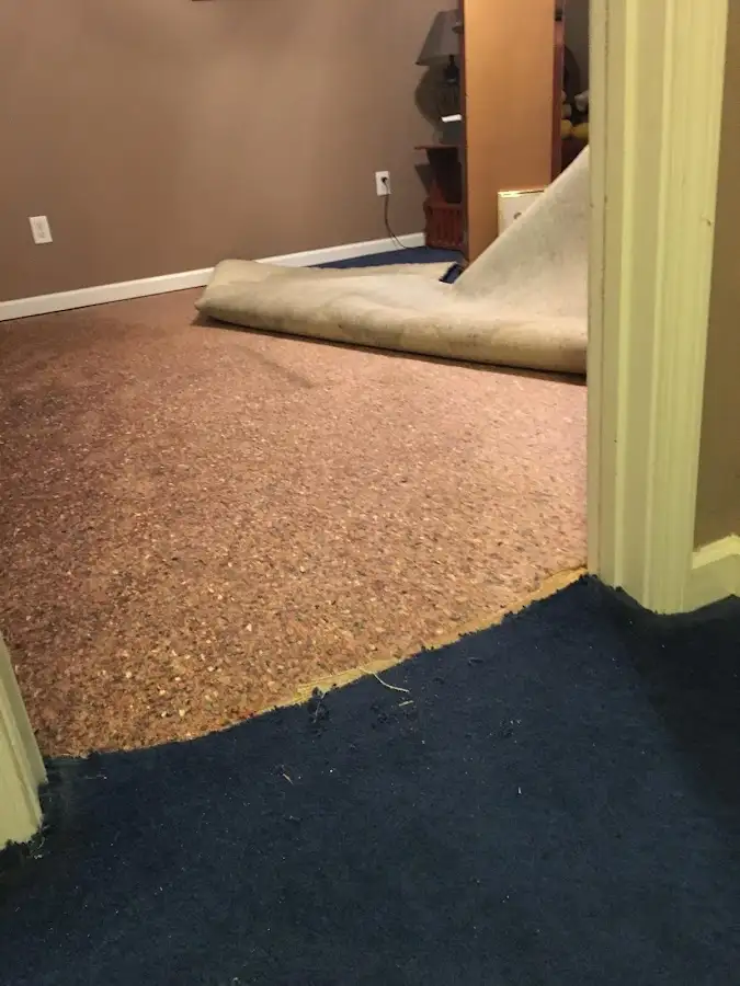 Carpet pad removal revealing water damage during Drying & Dehumidification in Tallmadge